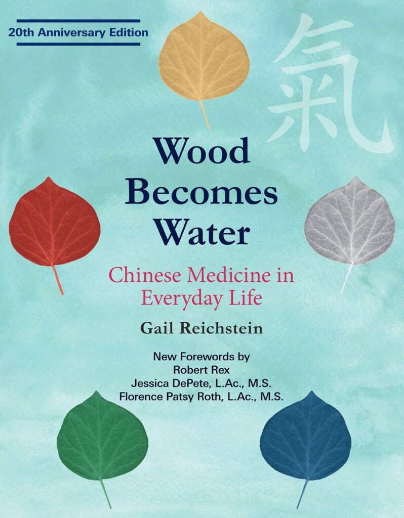 Cover of Wood Becomes Water By Gail Reichstein