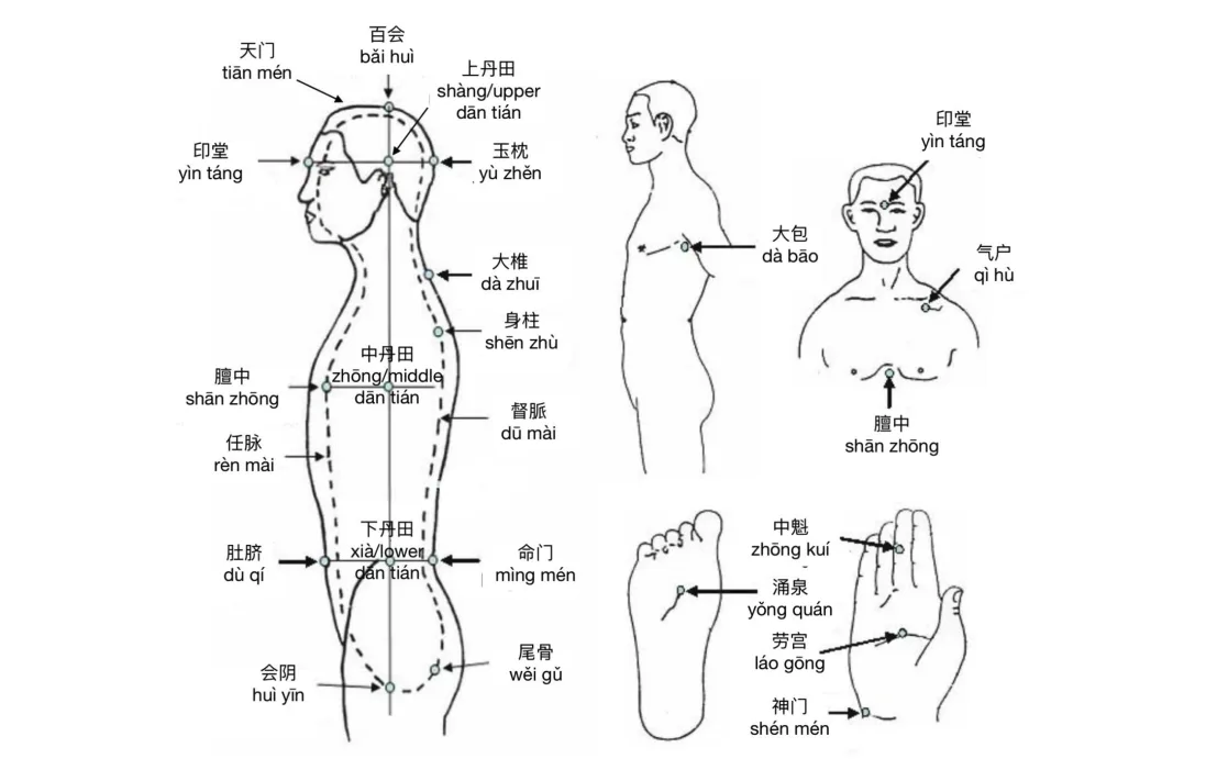 A chart of acupuncture points on the head and body